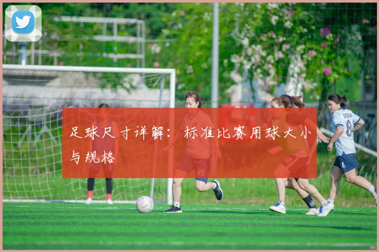 足球尺寸详解：标准比赛用球大小与规格