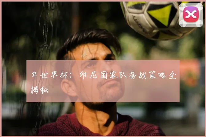 年世界杯:印尼国家队备战策略全揭秘