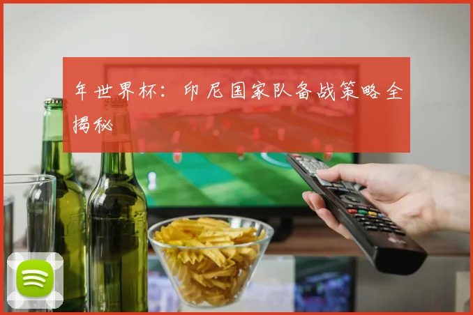 年世界杯:印尼国家队备战策略全揭秘