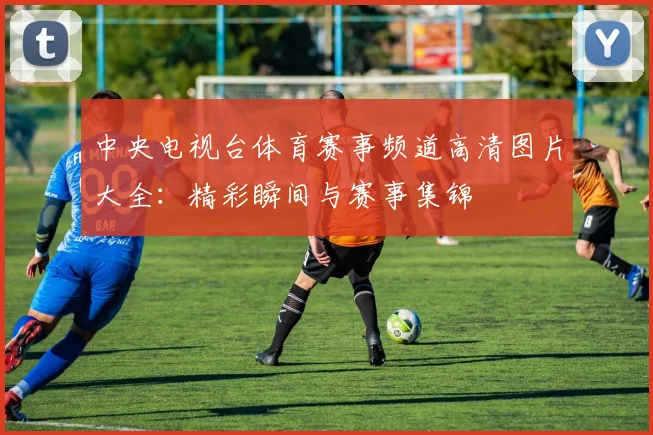 中央电视台体育赛事频道高清图片大全：精彩瞬间与赛事集锦